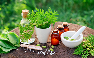 naturopathie dans le canton de Fayence